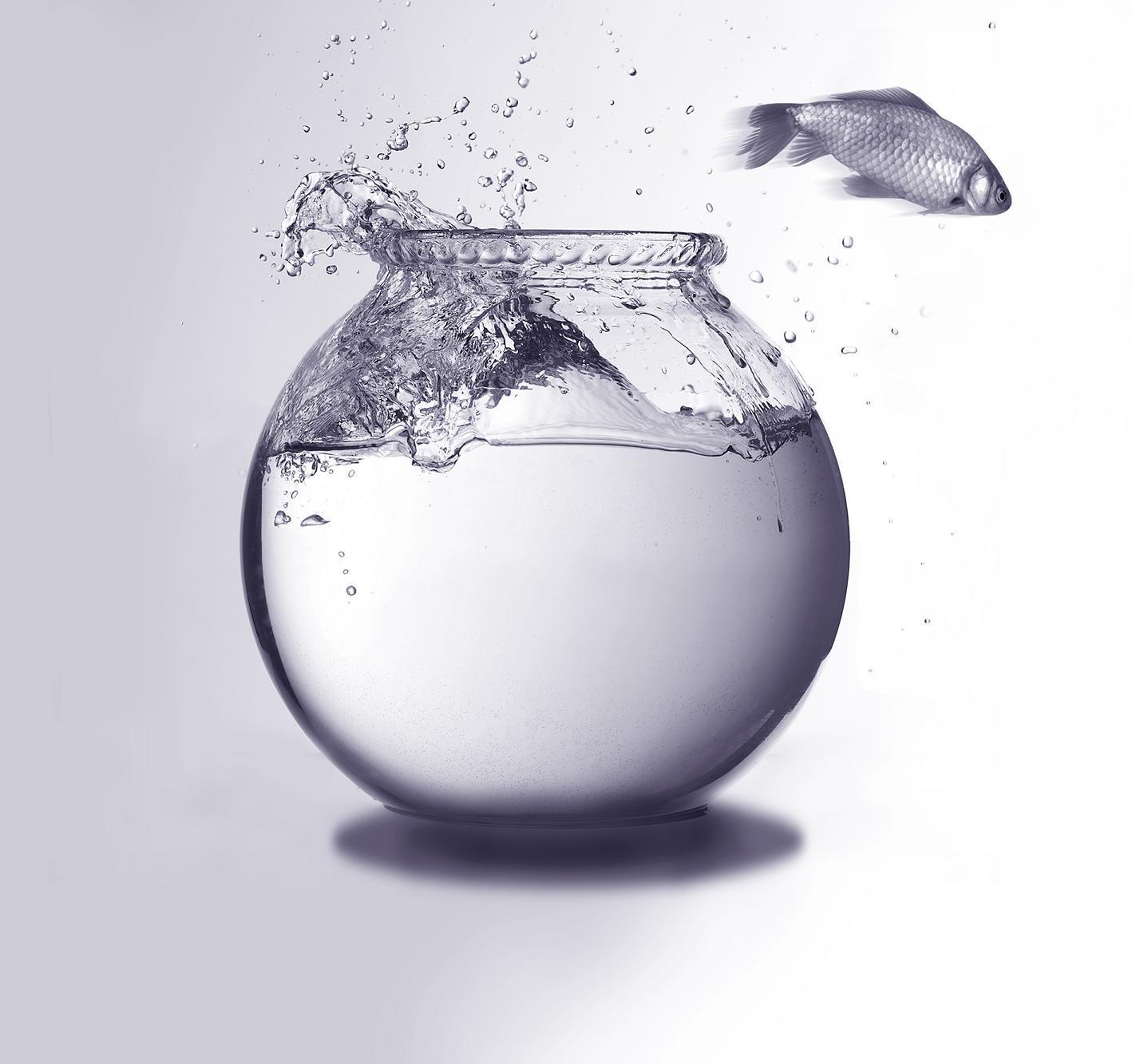 This White Man's World The Fishbowl and the Ocean...