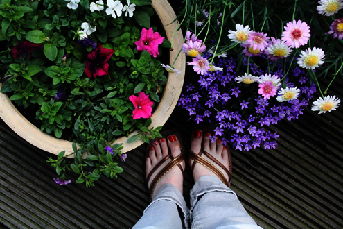 Summer Summer