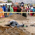 A dog is dead! Angry Residents of the Port Elizabeth kasi