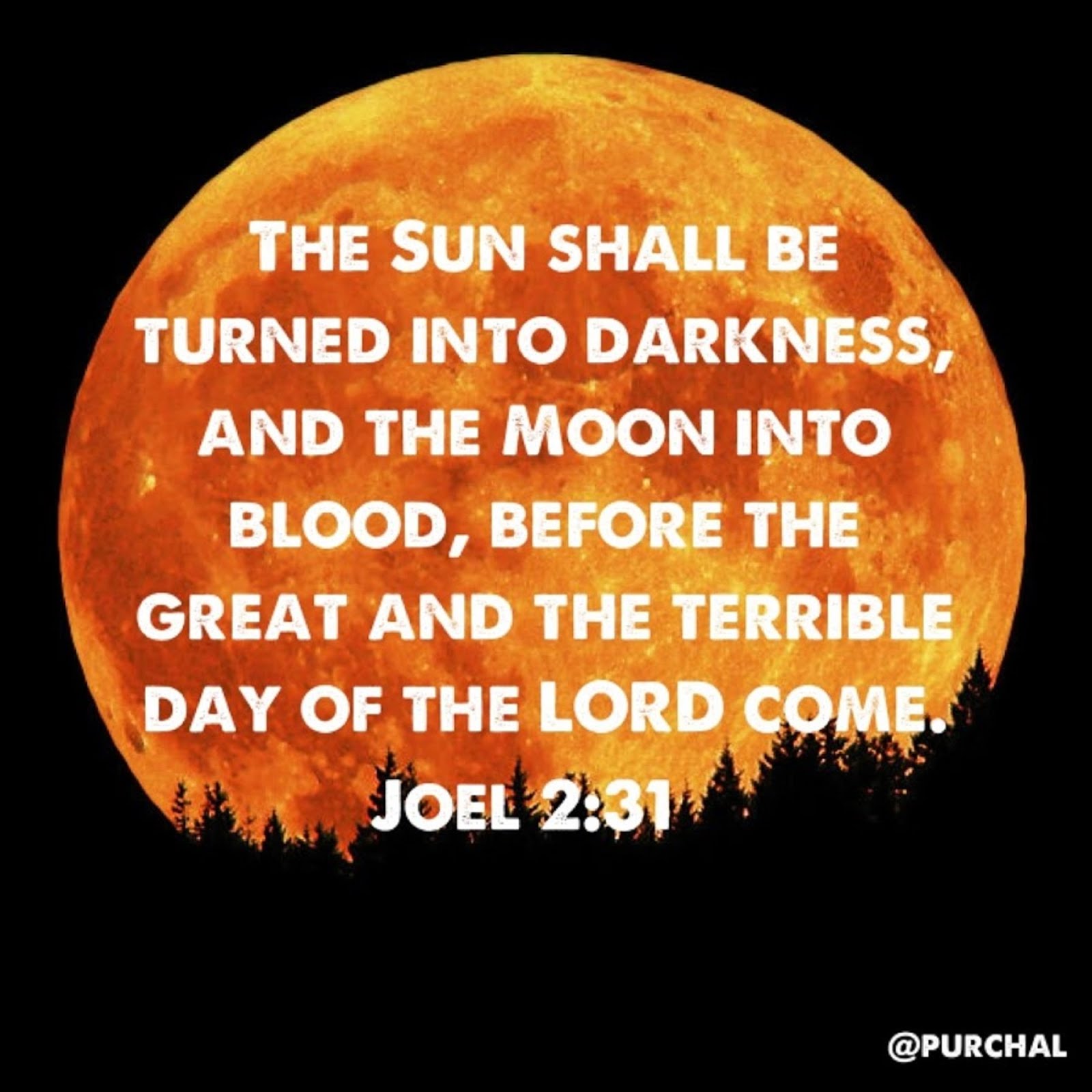 THE SUN WILL BE TURNED INTO DARKNESS AD THE MOON INTO BLOOD BEFORE THE GREAT AND TERRIBLE DAY OF