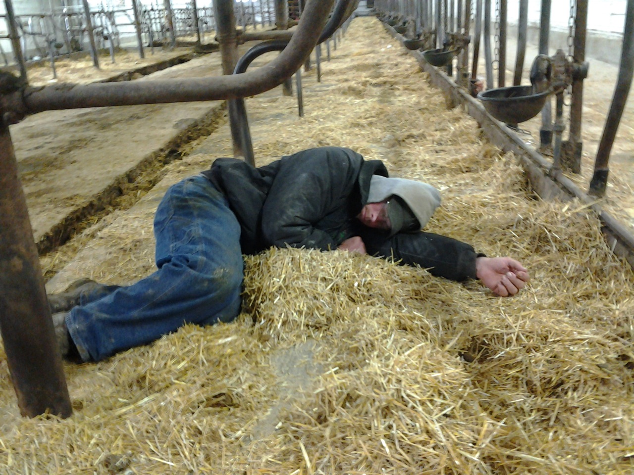 Dairy Good Life March 2013