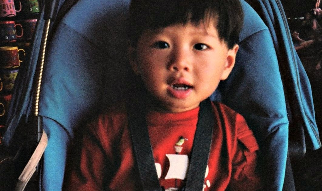 Better Family Photos What Camera Should I Get? (Basic)