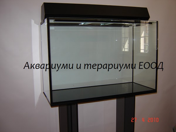 Аквариум на 250 дизайн Аквариум на 250 дизайн