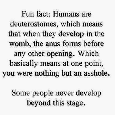 fun-fact-deuterostomes.jpg