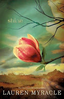 bookcover of Shine By Lauren Myracle bookcover of Shine By Lauren Myracle