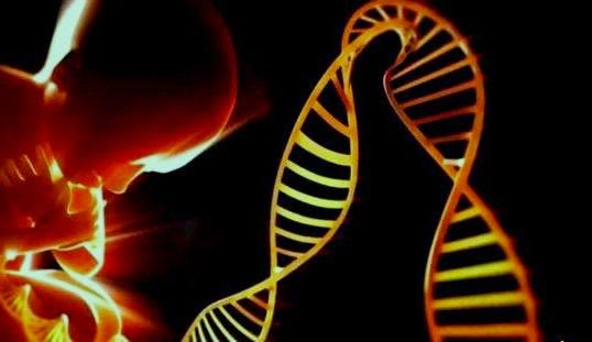 DNA - Episode 3 of 5 - The Human Race - PBS Documentary