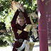 Joffrey Baratheon habla de la Boda Púrpura en "Juego de Tronos"