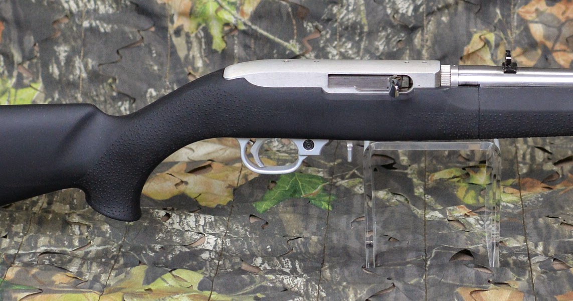 Ruger 10/22 stock options