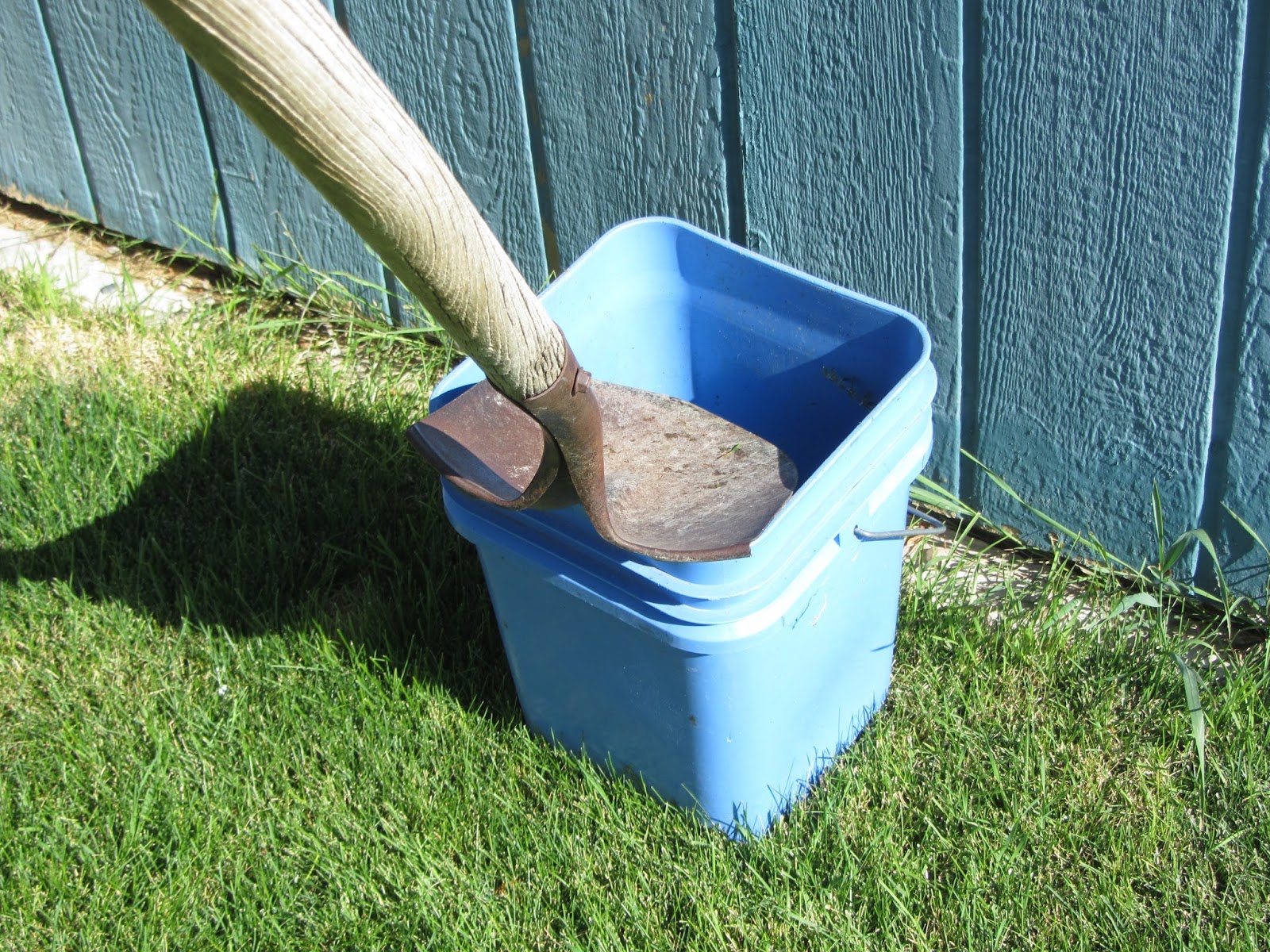 What To Do With Bucket Of Dog Poop at Joseph Jensen blog