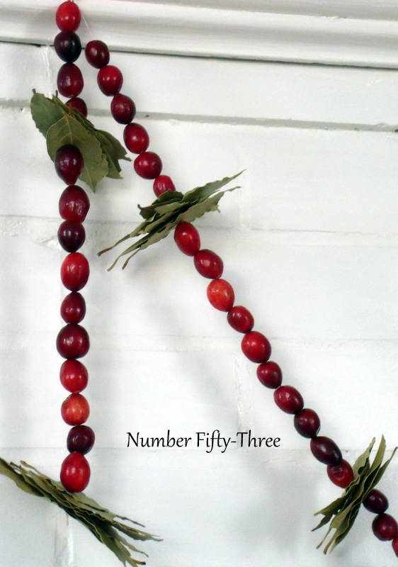 How to Make a Cranberry Garland 