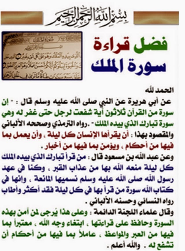 د محمود فتوح محمد blogger