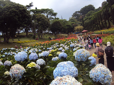 Tempat Wisata Keluarga Terbaik Kota Malang