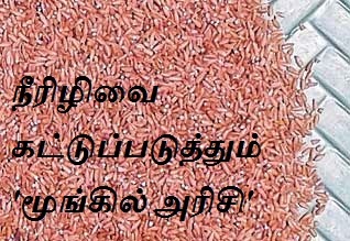 Neerizhivu noiyai kattuppadutthum moongil arisi