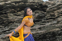 Sunaina hot cleavge,navel and thigh show  images