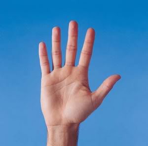 fig6_palm_of_hand-300x296.jpg