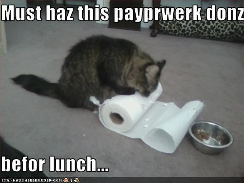 Gallery Funny Game Cat Posters