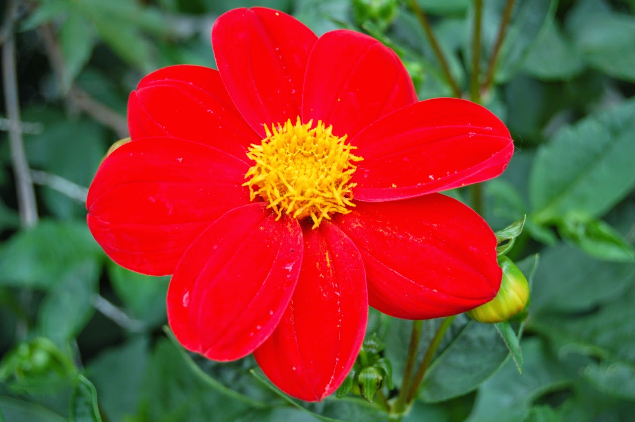 Related image