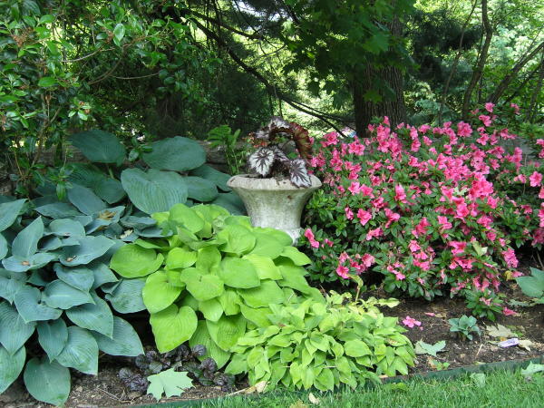 natural hardwood mulch shade