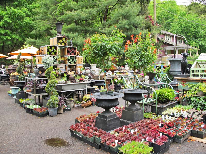 Jennifer Coyne Qudeen Marvin Gardens