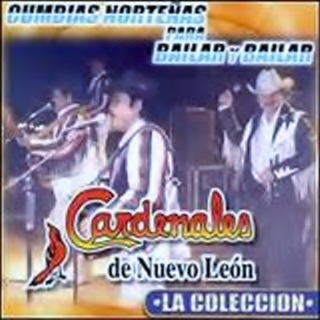 FOTOS DE LOS CARDENALES DE NUEVO LEON fotos de los cardenales de nuevo leon: