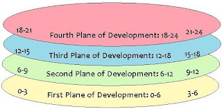 four planes of development essay four planes of development essay