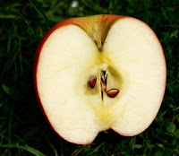 Propiedades manzana Propiedades de la Manzana