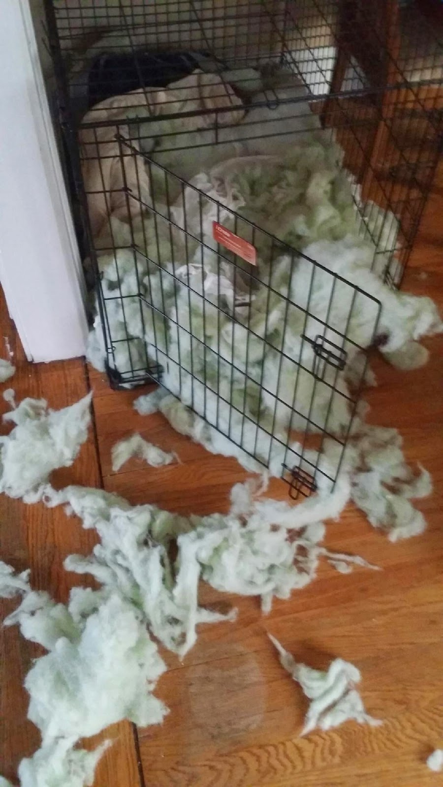 Dept. of Nance May 2014