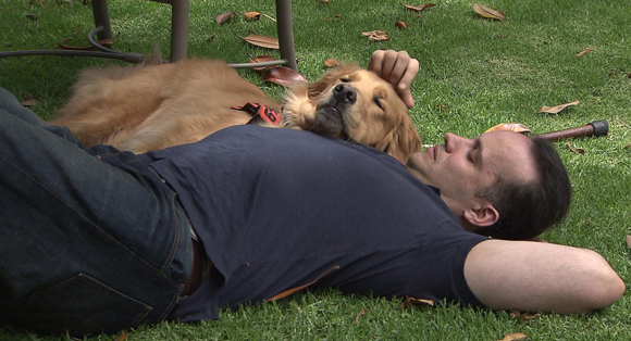 online statements wages cbocs