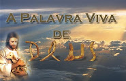 Programa PVD AO VIVO ******clique abaixo******