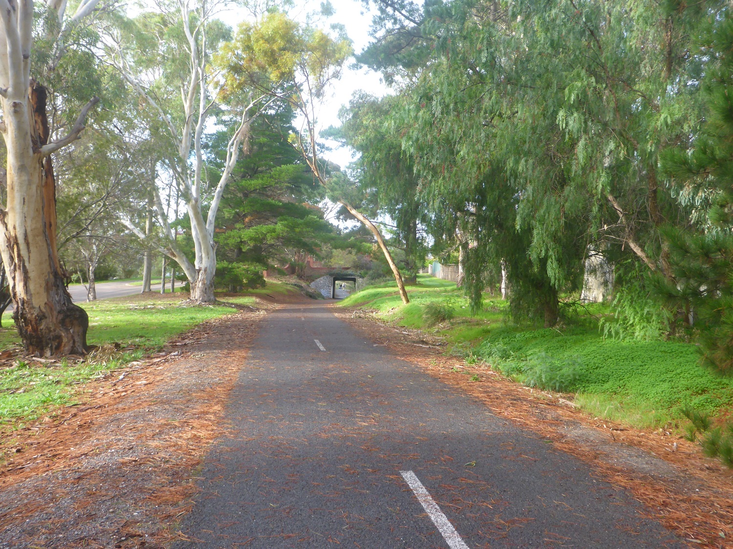 Steve And Dee S Australian Tour Part 2 2015