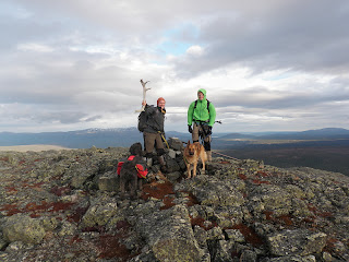 Vålåvalen