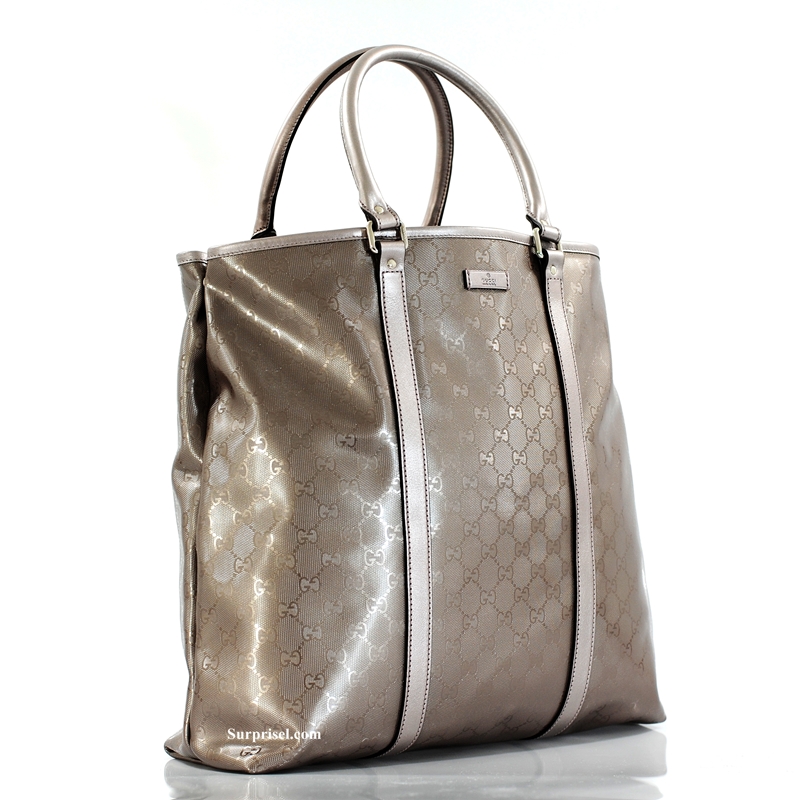 gucci 223668