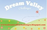 D.V. Challenge Blog