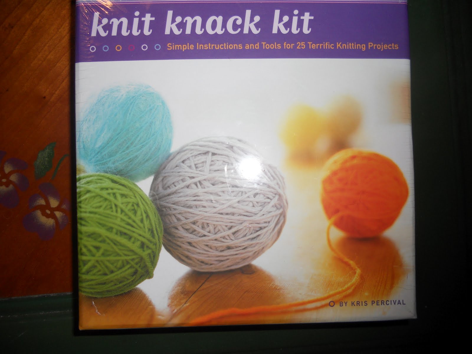 Life's Amazing Journey OnLine Auction to Bring Sara Home