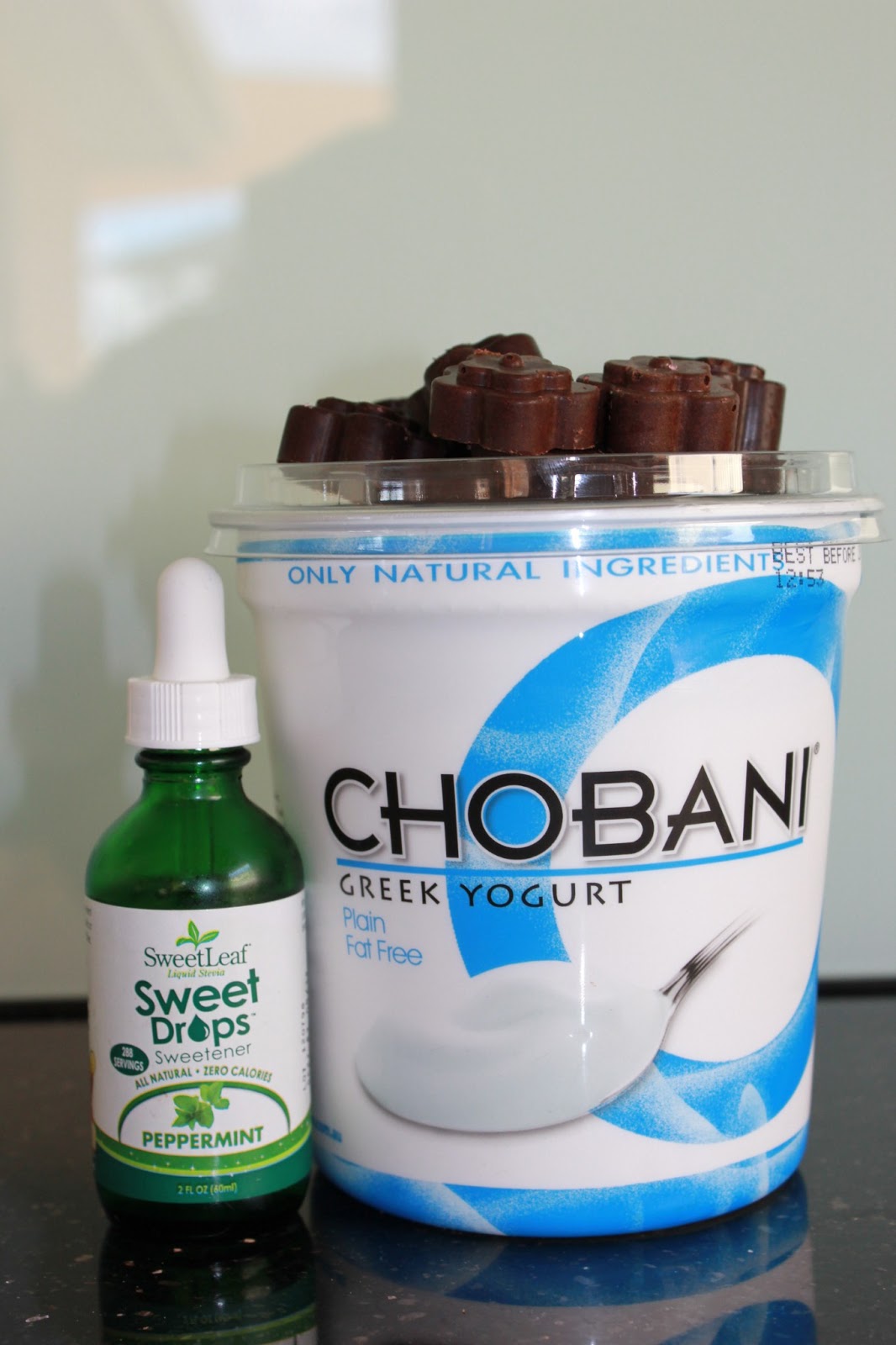 Stacie Michelle Monday Munchies Double ChocMint Protein Shake & CHObites