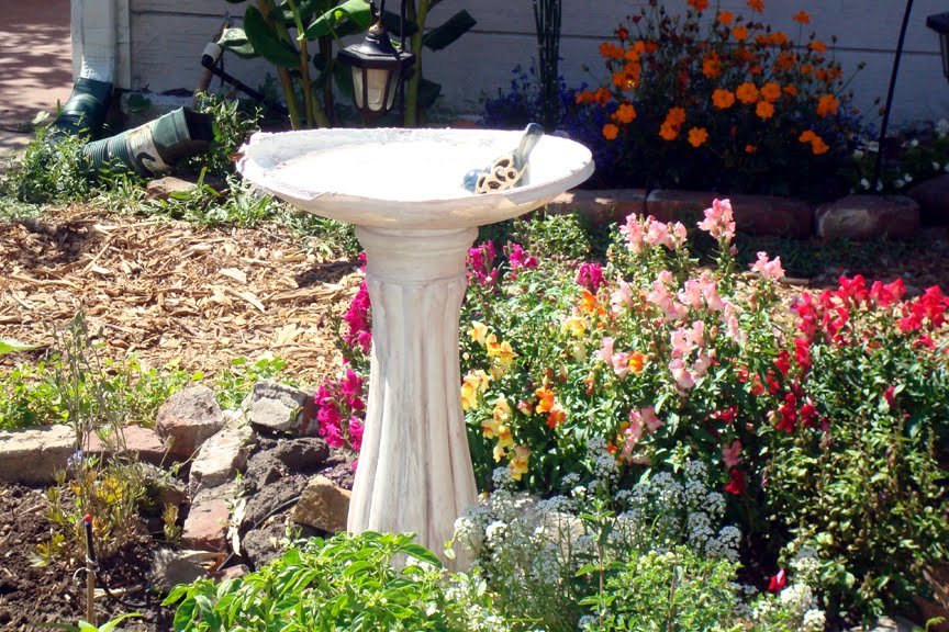 NeoVictorian Life 2.0 Bird Bath and Beyond