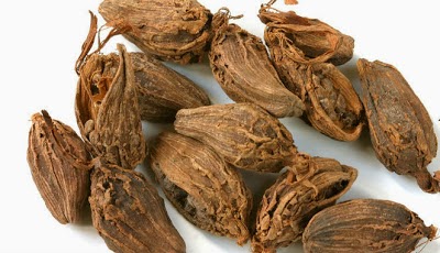 Kapulaga ; Rempah-rempah yang Kaya Manfaat