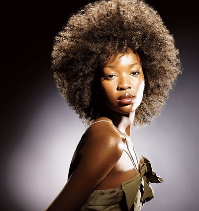 Fashion Hairstyles: Afro Hair styles Fashion Hairstyles: Afro Hair styles