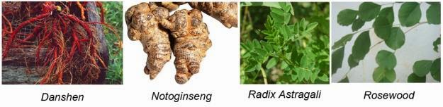 Bahan utama ICP Capsule obat herbal penyakit jantung koroner