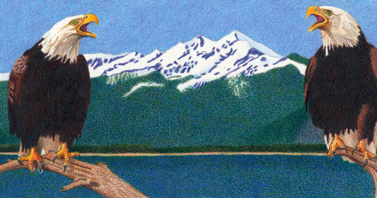 Impression Evergreen: Birds in Art - Colored Pencil Drawings