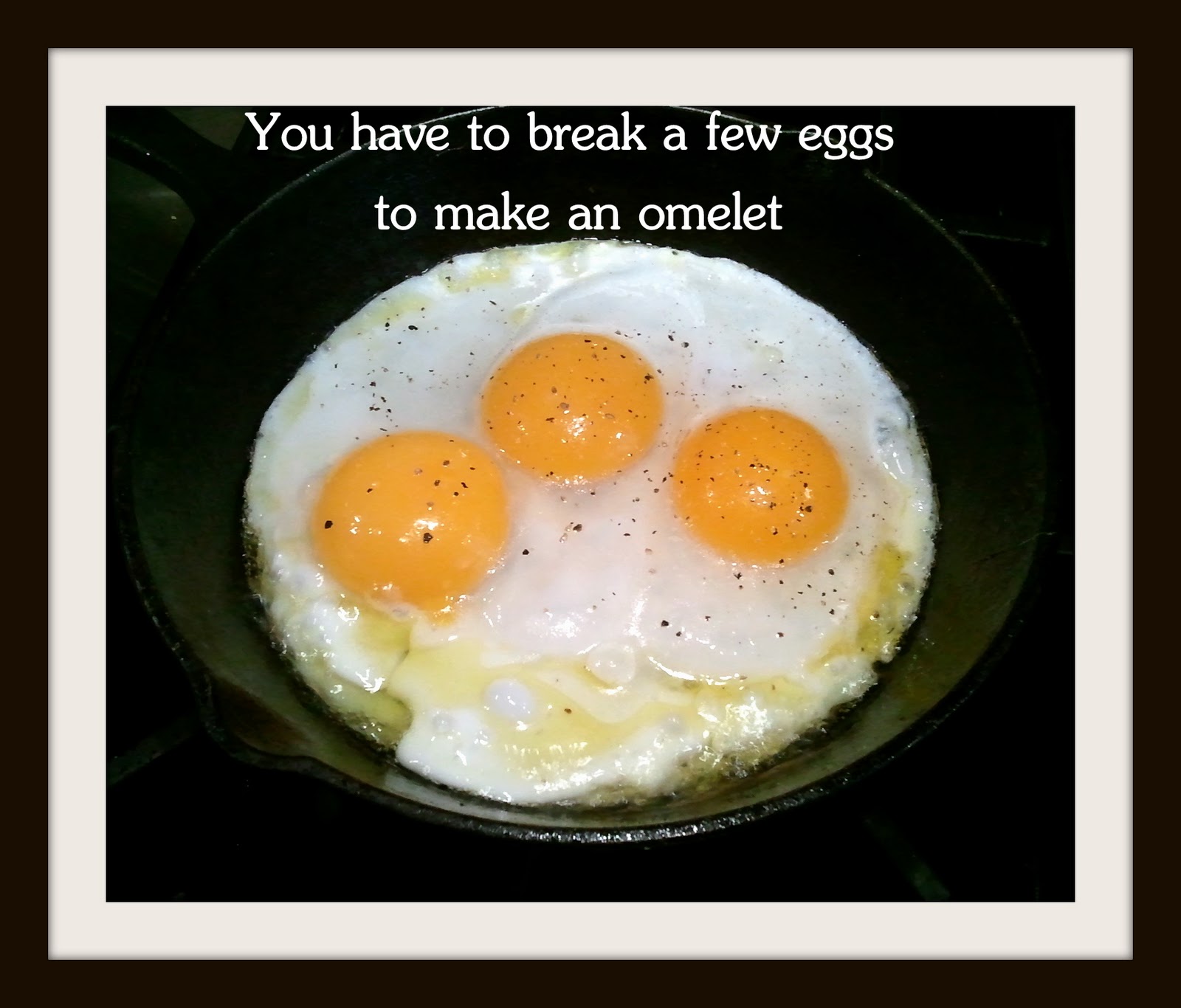 Which Came First ? Understanding Where Chicken Sayings Came From