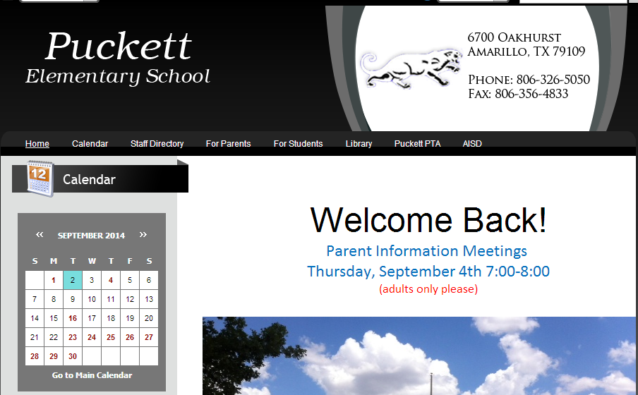 Houses For Sale Near Puckett Elementary School, Amarill