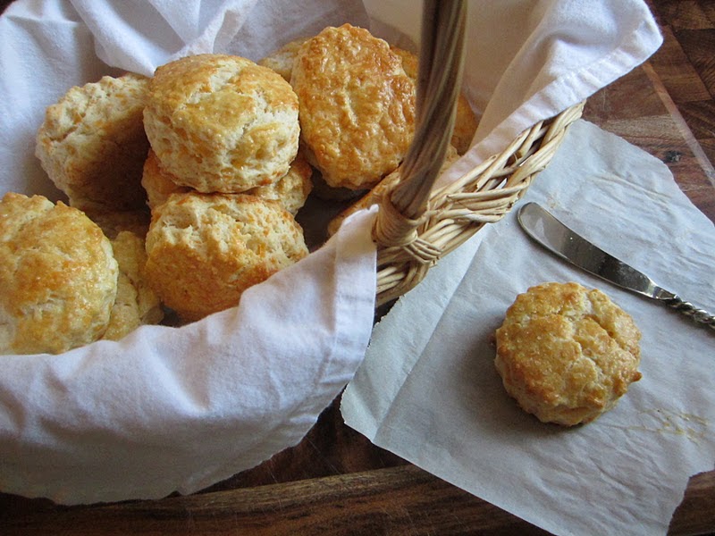 Cheese Please Buttermilk Cheddar Biscuits