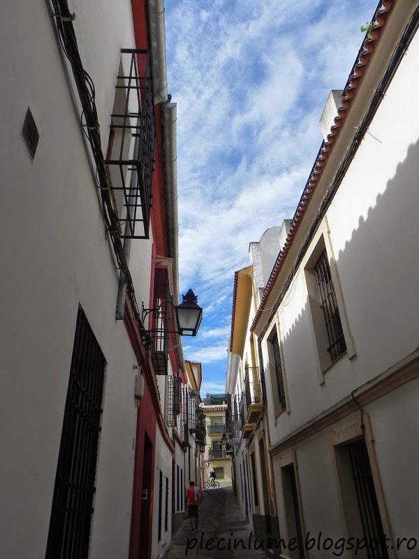 Strada in Cordoba Strada in Cordoba
