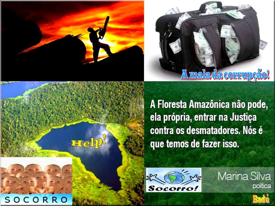 A FLORESTA AMAZONICA PEDE SOCORRO!