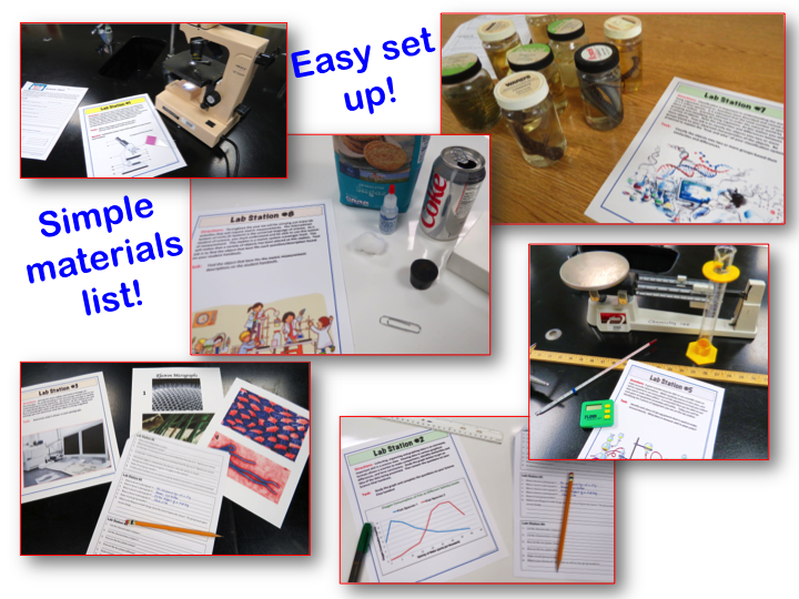 Amy Brown Science Science Chat A First Day of School Science Lab