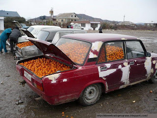 صور مضحكة جدا صور مضحكة جدا