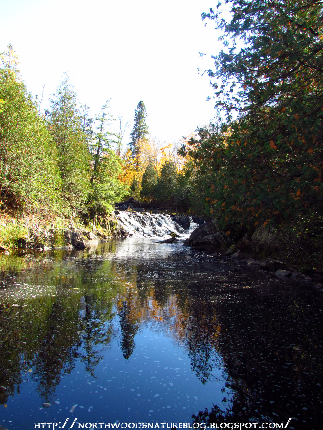 Northwoods Nature Blog More Upson Falls
