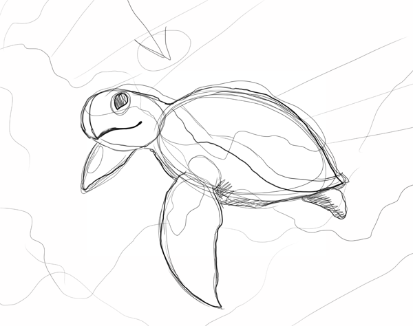 Sea+Turtle+Sketches ... via a facebook for a sea turtle, or "Honu" if you are in Hawaii