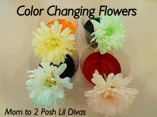 Mom to 2 Posh Lil Divas: 15 Favorite Science Experiments for Kids